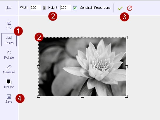 Die Bildverwaltung: Ein Bild bearbeiten